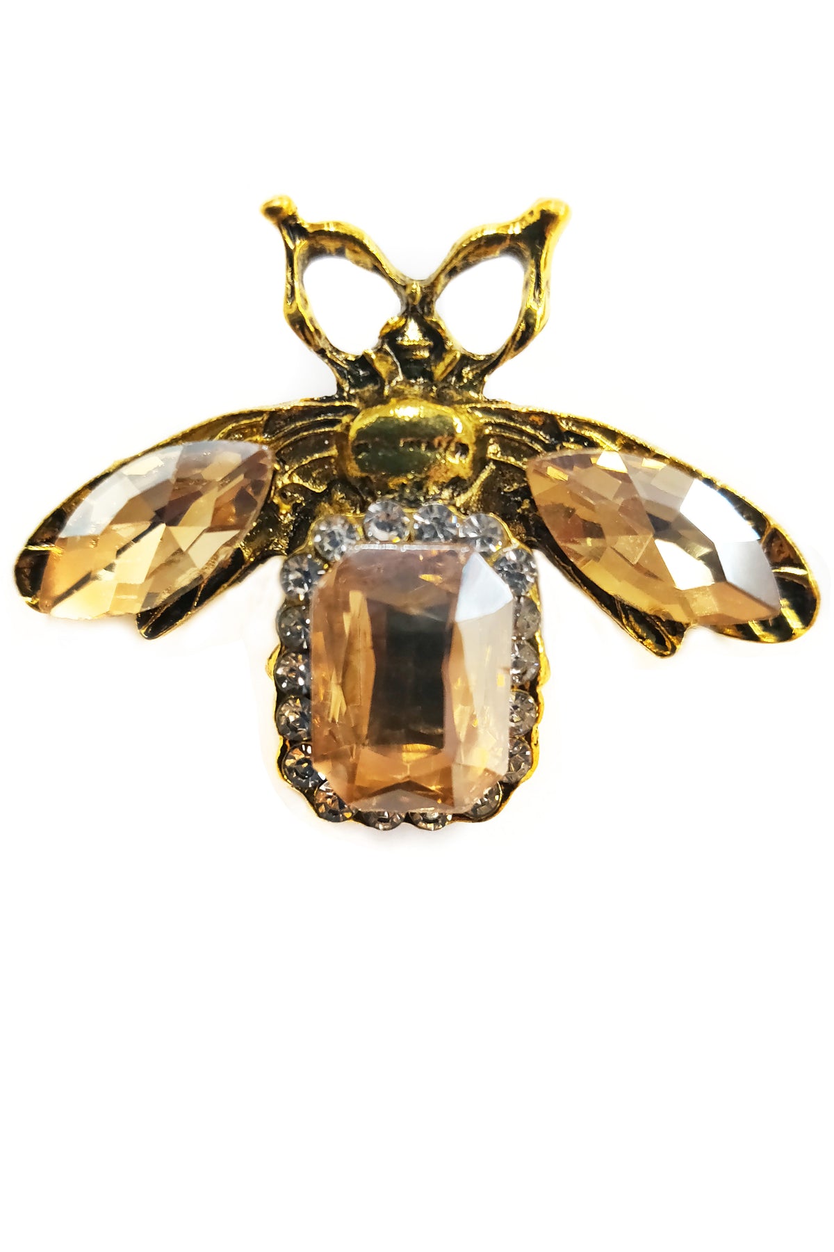 The Beetle Pin