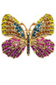 Colorful Butterfly Pin
