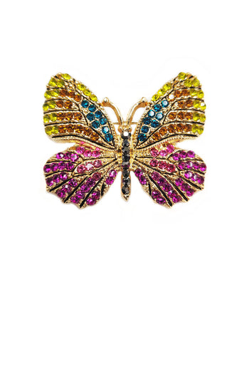 Colorful Butterfly Pin